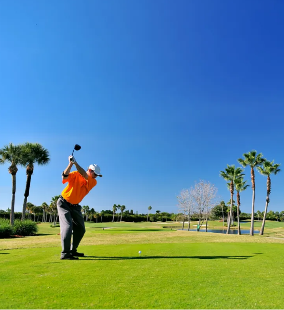 vipgolfacademy.com